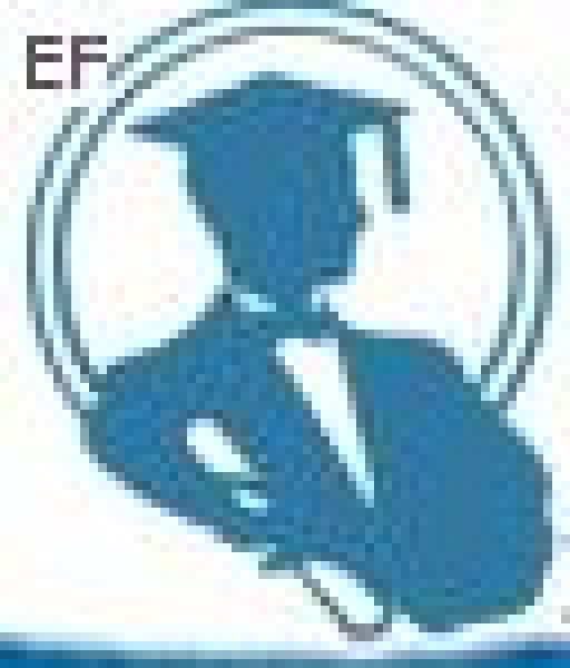 中國(深圳)國際教育、培訓暨職業博覽會<br>中國(深圳)國際教育機構暨教學科技與器材博覽會<br>中國(深圳)國際培訓、職業暨人力資源管理博覽會