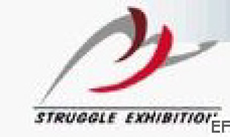 2008第八屆華南(廣州)國際木材、人造板、木地板、木門及設備展覽會<br>2008第三屆廣州國際散裝水泥、預拌混凝土、干混砂漿技術裝備展覽會<br>2008第四屆廣州(國際)道路交通建設材料、設施、設備展覽會<br>2008第二屆中國(廣州)國際竹制品貿易博覽會暨森虎國際網展會