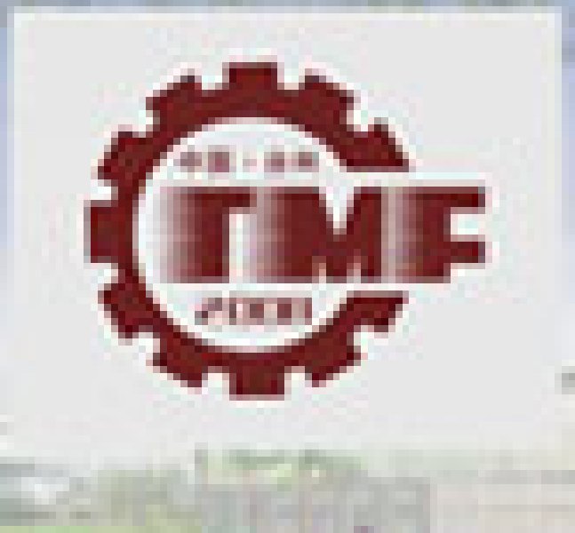 TMF2008中國(臺州)機(jī)床 工模具展覽會