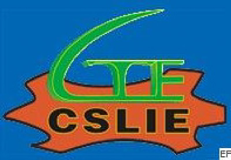 2010首屆中國(上海)國際人造革合成革工業展覽會