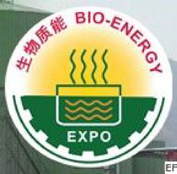 2010中國國際生物質能源展