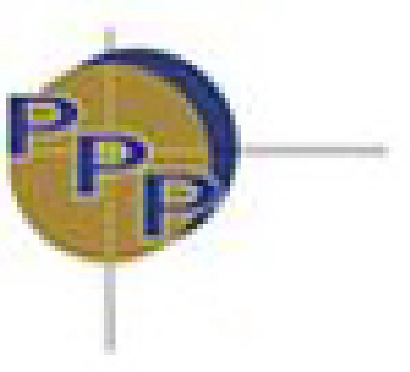 2011第十九屆上海國(guó)際印刷包裝紙業(yè)展覽會(huì)