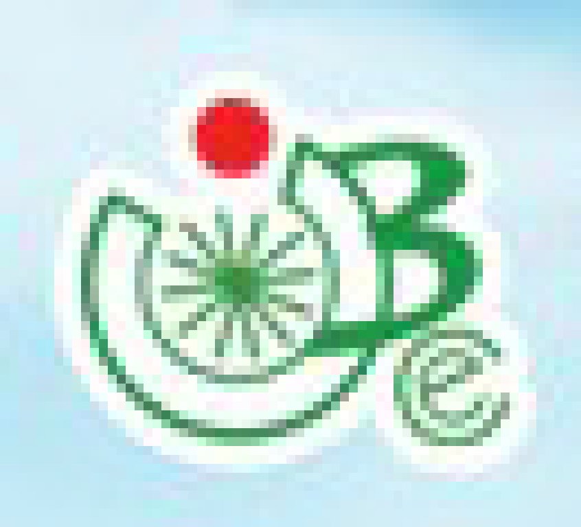 2011第29屆中國江蘇國際自行車、電動車及零部件交易會