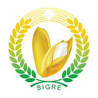 2017第三屆上海國(guó)際養(yǎng)生雜糧及優(yōu)質(zhì)大米展覽會(huì)